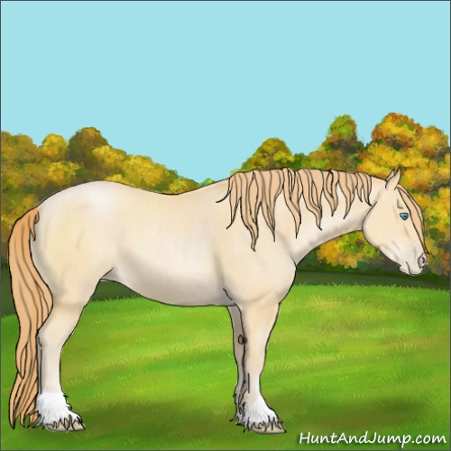 Horse Color:Buckskin Pearl 