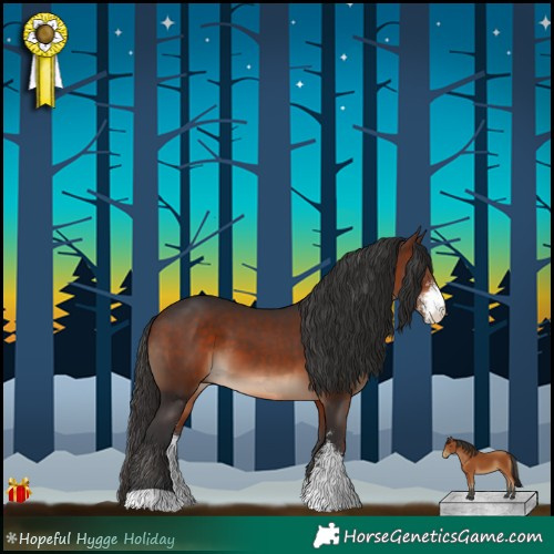 Horse Color:Bay Sabino 