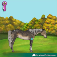Horse Color:Silver Smoky Black Tobiano 