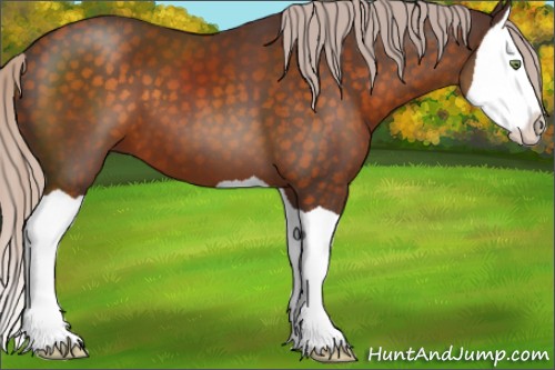 Horse Color:Chocolate Silver Buckskin Splash 