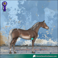 Horse Color:Silver Black Tobiano 