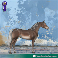 Horse Color:Silver Black Tobiano 