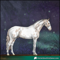 Horse Color:Red Dun Roan Splash Tobiano Appaloosa Rabicano 