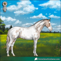 Horse Color:Red Dun Roan Splash Tobiano Appaloosa Rabicano