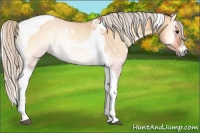 Horse Color:Silver Bay Onyx Tobiano Rabicano 