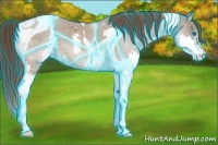 Horse Color:Thunderstruck Liver Red Dun Splash Tobiano 