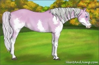 Horse Color:Watercolor Silver Bay Dun Splash 