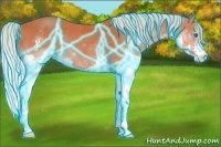Horse Color:Thunderstruck Silver Bay Splash 