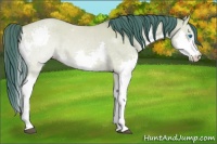 Horse Color:Watercolor Buckskin Dun Splash 
