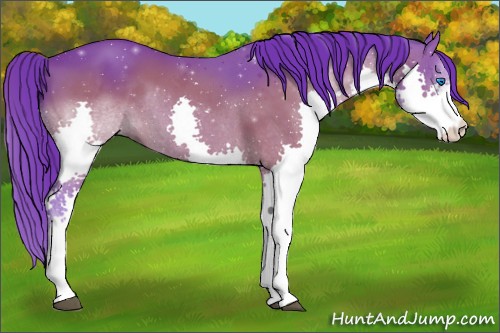Horse Color:Watercolor Brown Splash