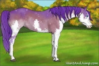 Horse Color:Watercolor Brown Splash 