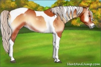 Horse Color:Silver Bay Onyx Tobiano 