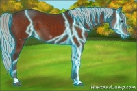Horse Color:Thunderstruck Silver Brown 