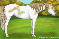 Horse Color:Watercolor Chestnut Splash Tobiano Frame 