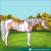 Horse Color:Nacre Silver Bay Onyx Tobiano Rabicano