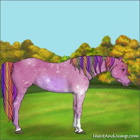 Horse Color:Painted Watercolor Chestnut Tobiano 