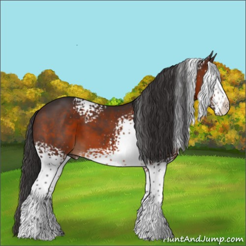 Horse Color:White Spotted Brown 