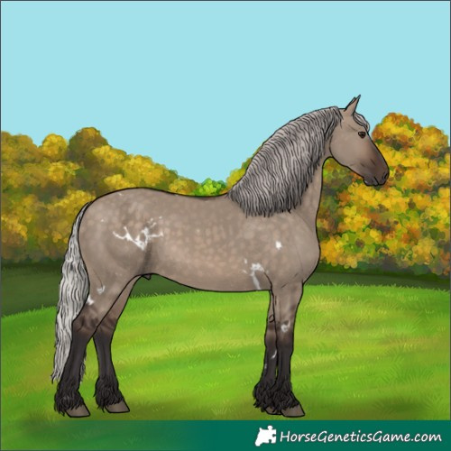 Horse Color:White Spotted Silver Brown Dun 