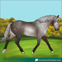 Horse Color:Gray Silver Brown 