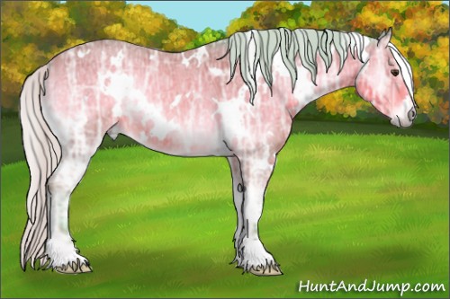 Horse Color:Watercolor White Spotted Silver Buckskin Ice Onyx 
