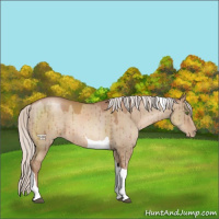 Horse Color:Silver Grullo Pearl Tobiano Brindle 