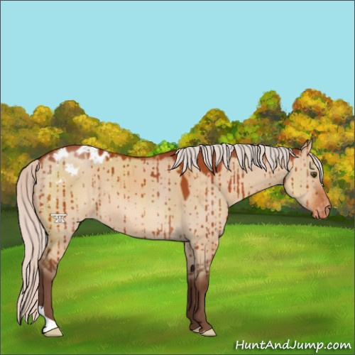 Horse Color:Silver Bay Dun Blanket Brindle