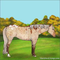Horse Color:Silver Bay Dun Blanket Brindle 