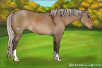 Horse Color:Silver Brown Dun 