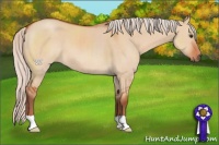 Horse Color:Silver Brown Dun 