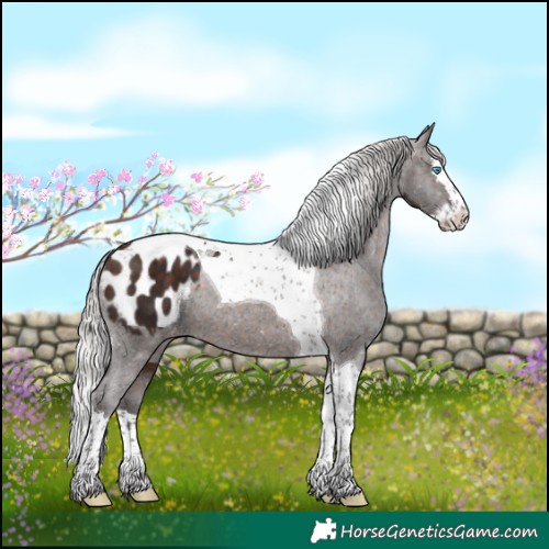 Horse Color:Silver Brown Splash Tobiano Blanket 