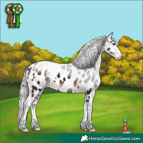 Horse Color:White Spotted Silver Brown Appaloosa 