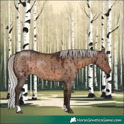 Horse Color:Silver Brown Dun Rabicano Brindle