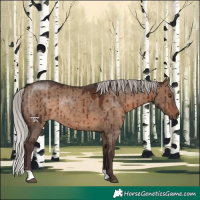 Horse Color:Silver Brown Dun Rabicano Brindle 