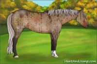 Horse Color:Silver Brown Dun Brindle 