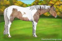 Horse Color:Silver Brown Dun Tobiano Brindle 