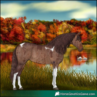 Horse Color:Chocolate Brown Dun Tobiano Brindle