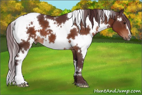 Horse Color:White Spotted Chocolate Brown 