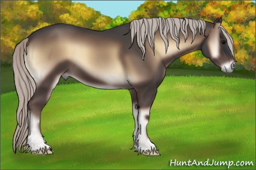 Horse Color:Silver Blue Onyx 