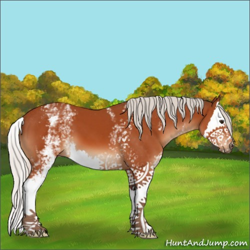 Horse Color:White Spotted Silver Brown Splash 