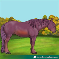Horse Color:Watercolor Chestnut