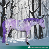 Horse Color:Watercolor White Spotted Black Ice 