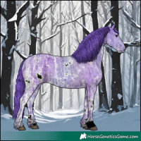 Horse Color:Watercolor White Spotted Black Ice