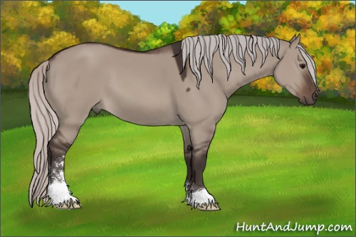 Horse Color:Silver Brown Dun Mushroom Sabino 