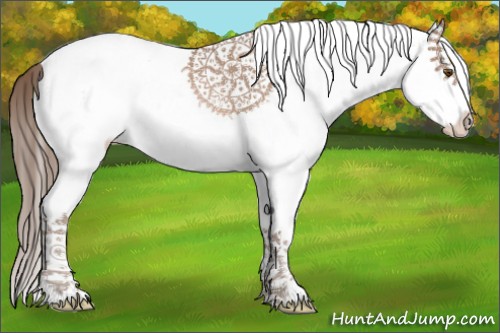 Horse Color:White Spotted Black Pearl Splash Appaloosa 