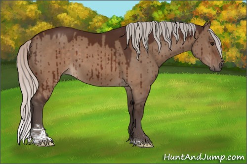 Horse Color:Silver Brown Dun Sabino Brindle 