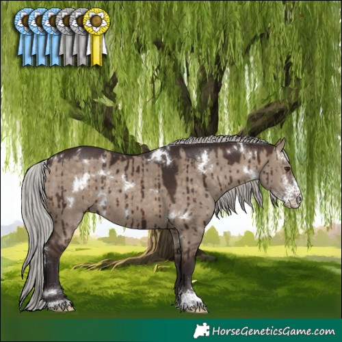 Horse Color:White Spotted Silver Brown Dun Sabino Rabicano Brindle 
