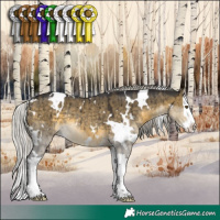 Horse Color:White Spotted Silver Buckskin Dun Mushroom Splash Rabicano Brindle