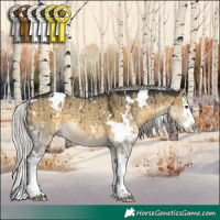 Horse Color:White Spotted Silver Buckskin Dun Mushroom Splash Rabicano Brindle 