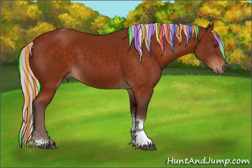 Horse Color:Painted Silver Brown Sabino Tobiano 