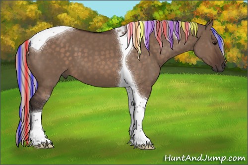 Horse Color:Painted Silver Brown Dun Sabino Tobiano 